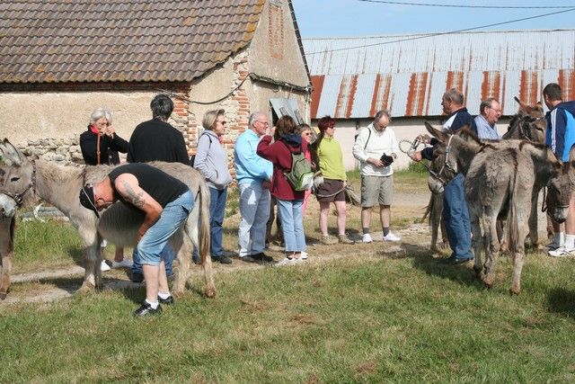 2015-07-06 rando anes (5).JPG